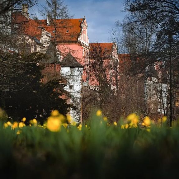 Zima to balí. ❄➡🌼
.
Nedávno na univerzitní město dopadal vlezlý sníh, ale teď je jasné, že jaro už na sebe čekat nenechá. Byli jste se podívat „ve výpadu“? Nejen kolem budov @ff_upol už to kvete, jako by se (ještě před pár dny) nechumelilo. 💙
.
#olomouc #univerzitnimesto #univerzitapalackeho #palackyuniversity #upol #narcisy #krokusy #moudrakvetena