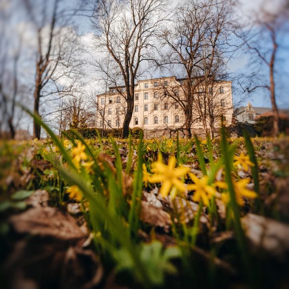 Jaro je tady! 🌼

Zima byla letos dlouhá a tuhá, ale astronomicky vzato už definitivně skončila. Právě teď, s úderem 15. hodiny a 46. minuty nastala jarní rovnodennost. A vidět je to nejen v parcích pod naší Křížkárnou. ☀️

#univerzitnimesto