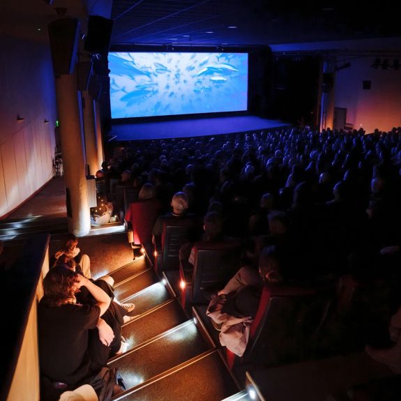 AFO 61 je oficiálně zahájeno! 📽️

Kulturní srdce našeho univerzitního města se pro tento týden přesouvá do plných hledišť. Začal totiž náš výroční festival @afo_olomouc – před malou chvílí v našlapaném Kině Metropol. Přidejte se a užijte si to. Až do neděle!

Pokud ještě nemáte festivalovou akreditaci, nezapomeňte si ji vyřídit zdarma na webu afo.cz. Link v biu. ☝️

#univerzitnimesto